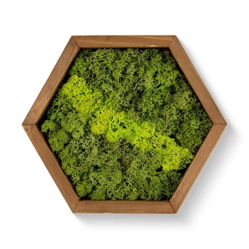 Mohakép hexagon 25 cm