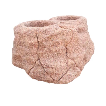 Kétlyukú növényszikla