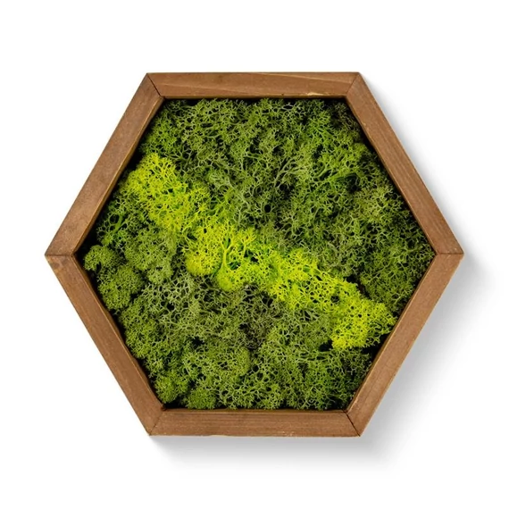 Mohakép hexagon 25 cm