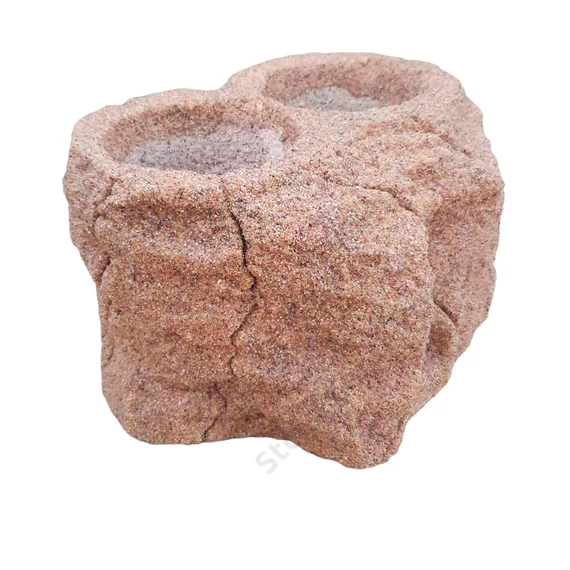Kétlyukú növényszikla