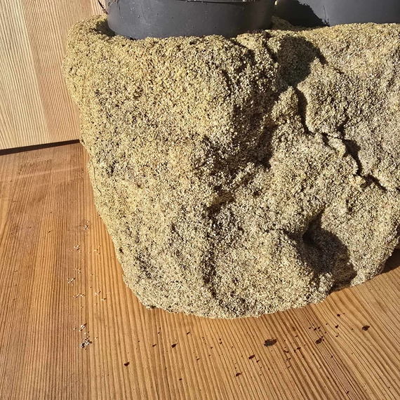 Kétlyukú növényszikla
