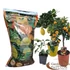 Sunin Citrusföld 20L