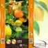 Sunin Citrusföld 20L