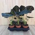 Alocasia Regal Shield