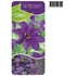 Clematis President