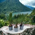 Cycas revoluta