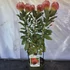 Leucospermum Ayoba Red 3 szár 3 virág